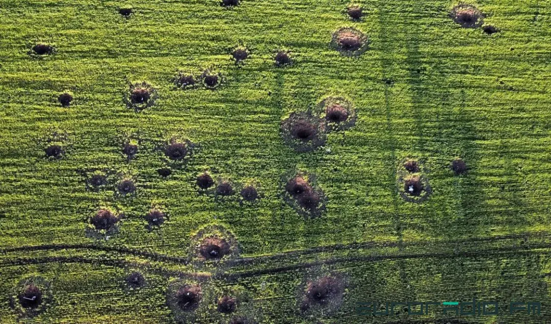 NASA: Расія кантралюе амаль чвэрць ворных зямель Украіны