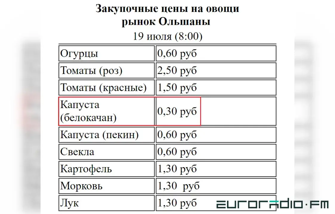 Сдают на корм: пока магазины торгуют импортной капустой, своя гниёт на полях