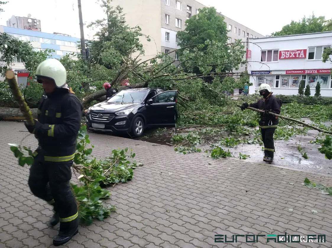 У цэнтры Бабруйска дрэва ўпала на аўтамабіль, у якім была жанчына-кіроўца