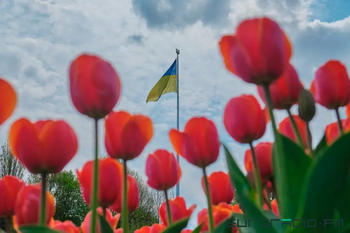 Як тлумачыць міграцыйнай службе Украіны, што ты не вораг. Спыталі Анісію Казлюк