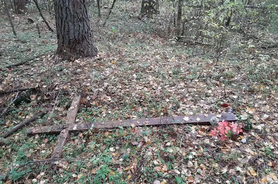 Невядомыя паламалі крыжы на месцы сталінскіх расстрэлаў пад Віцебскам 