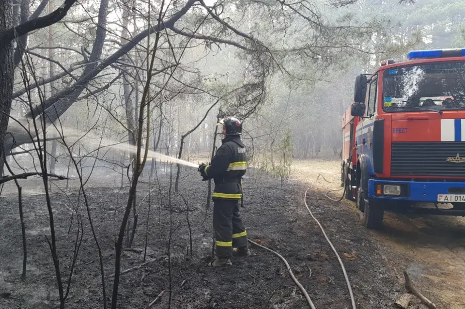 Каля Брэста ліквідавалі вялікі пажар, які набліжаўся да газавай запраўкі