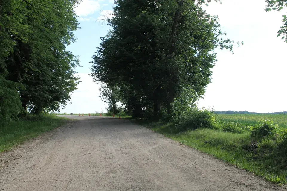 У Шчучынскім раёне загінуў матацыкліст — сутыкнуўся з дрэвам