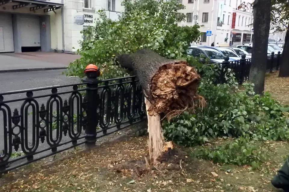 Каля помніка Дзяржынскаму ў Мінску на аўтамабіль звалілася дрэва (фота)