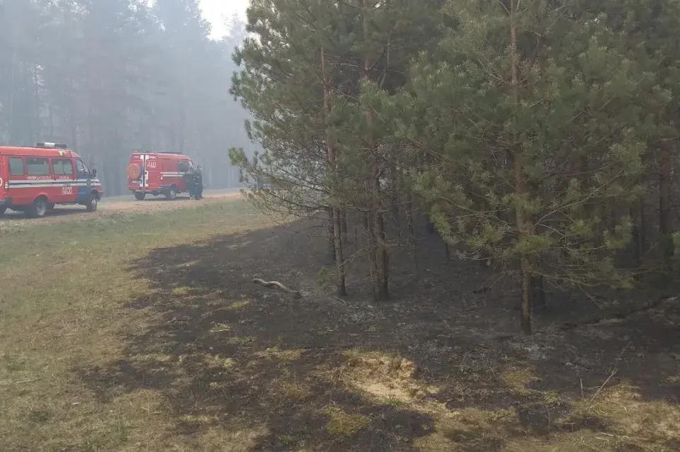 Амаль 200 чалавек змагаюцца з лясным пажарам пад Гроднам