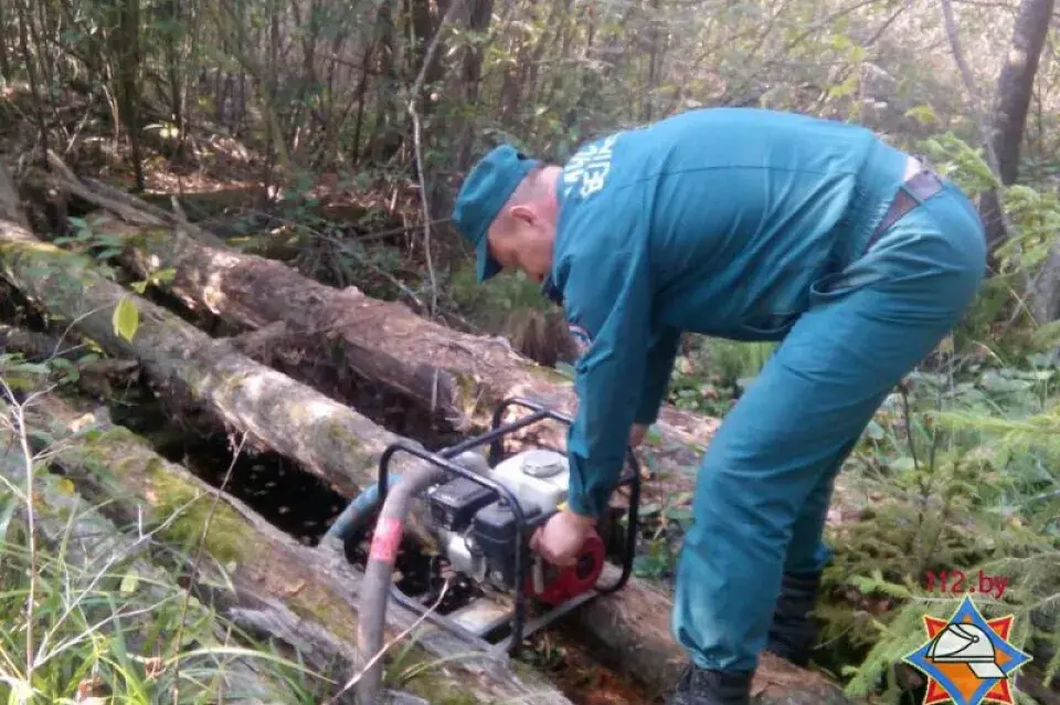 У "Нацыянальным парку Прыпяцкі" ліквідавалі буйны пажар (фота)