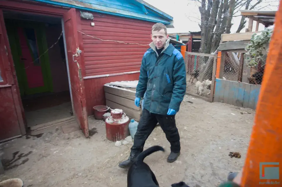 Як зімой жыве сабачы прытулак на ўскрайку Гродна (фота)