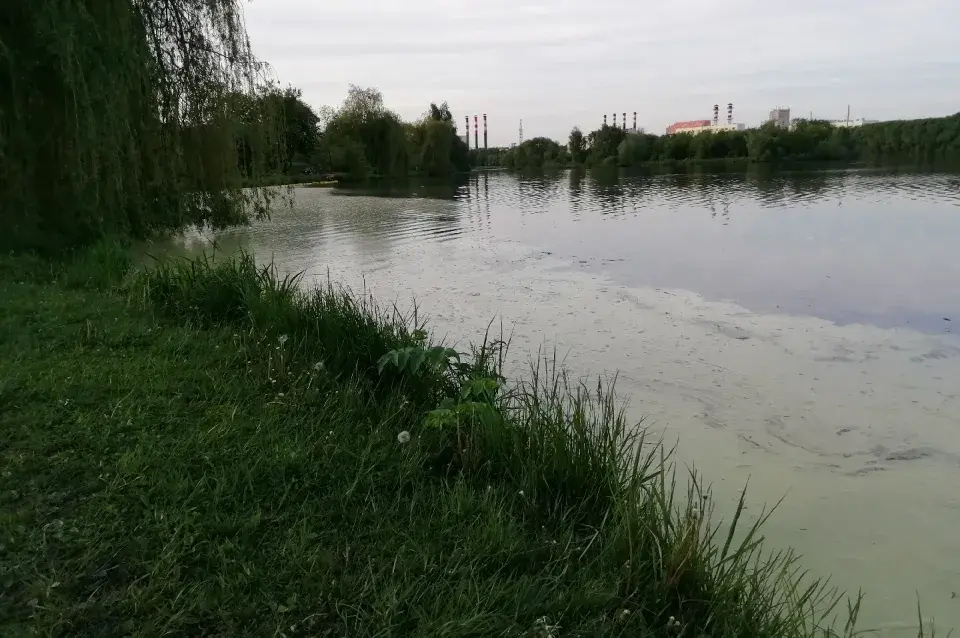 У цэнтры Мінска ў Свіслач злілі смярдзючую субстанцыю, яе не прыбіраюць два дні