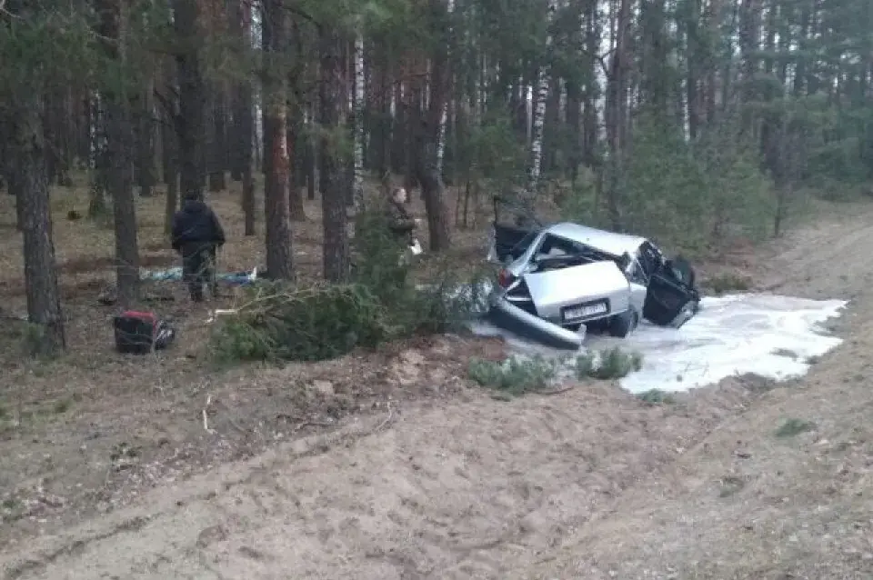 Пад Іванавам легкавік урэзаўся ў дрэва, загінулі два чалавекі