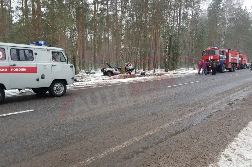 Пад Любанню “Нісан” урэзаўся ў дрэва, два чалавекі загінулі