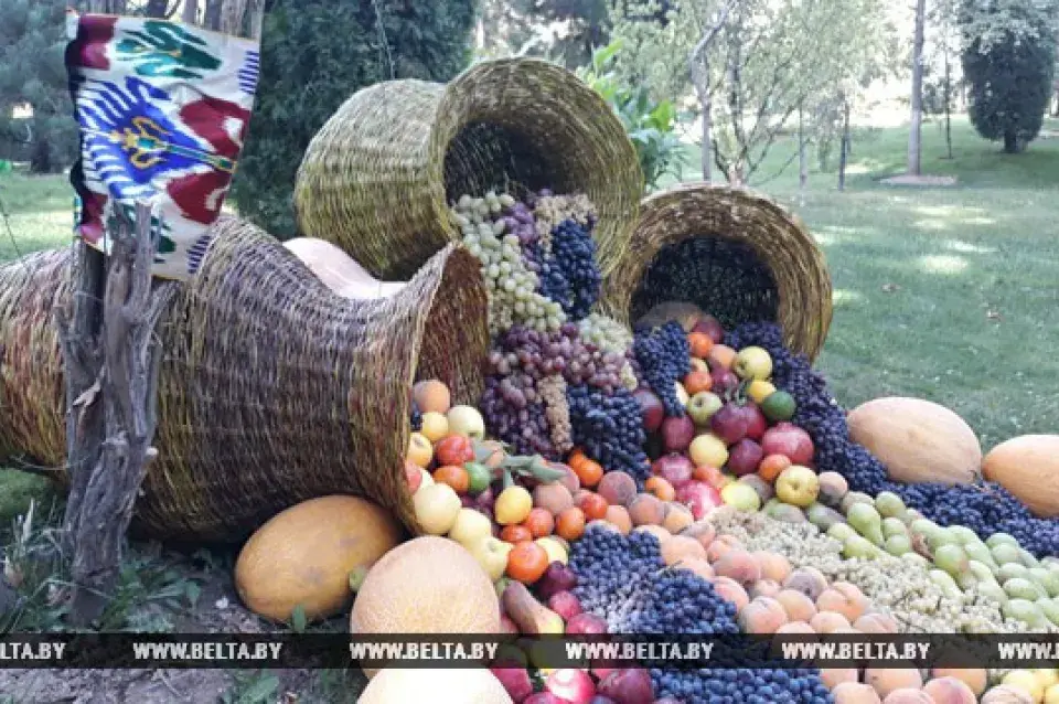 Лукашэнку ў Таджыкістане сустракаюць горамі кавуноў і дынь (фота)