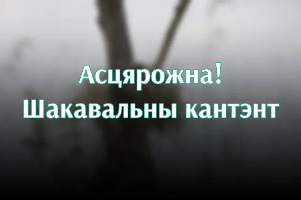 Каждый день в Беларуси убивают десятки бакланов: за что?