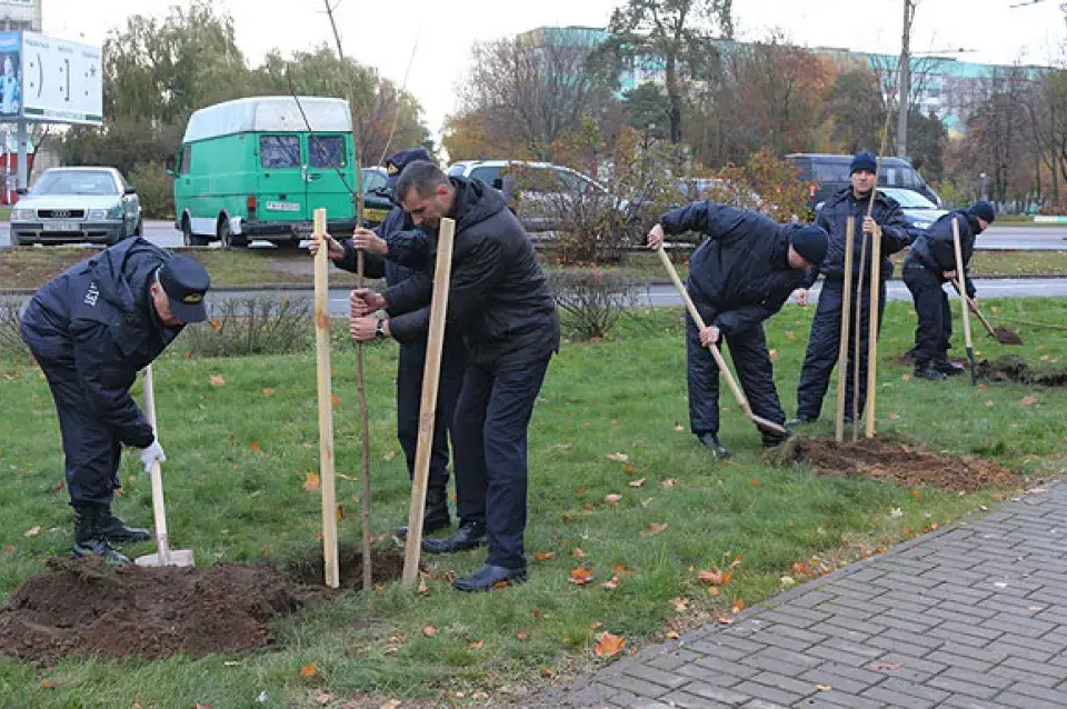 У Гомелі “людзі ў цывільным” са Следчага камітэта высадзілі алею дрэваў