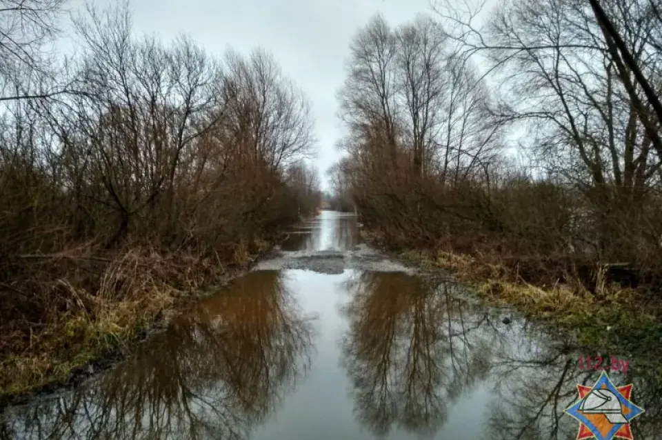 Паводка на Пцічы затапіла ўчастак дарогі ў Петрыкаўскім раёне 