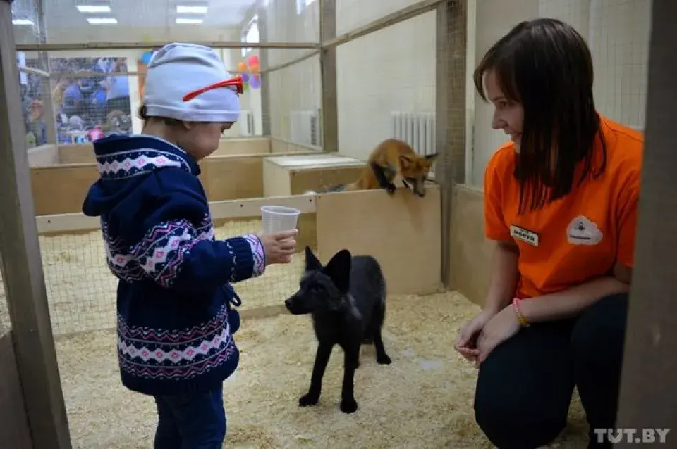 Уладальнік заапарка, дзе лісіца ўкусіла дзіця: Маці не мела прэтэнзій