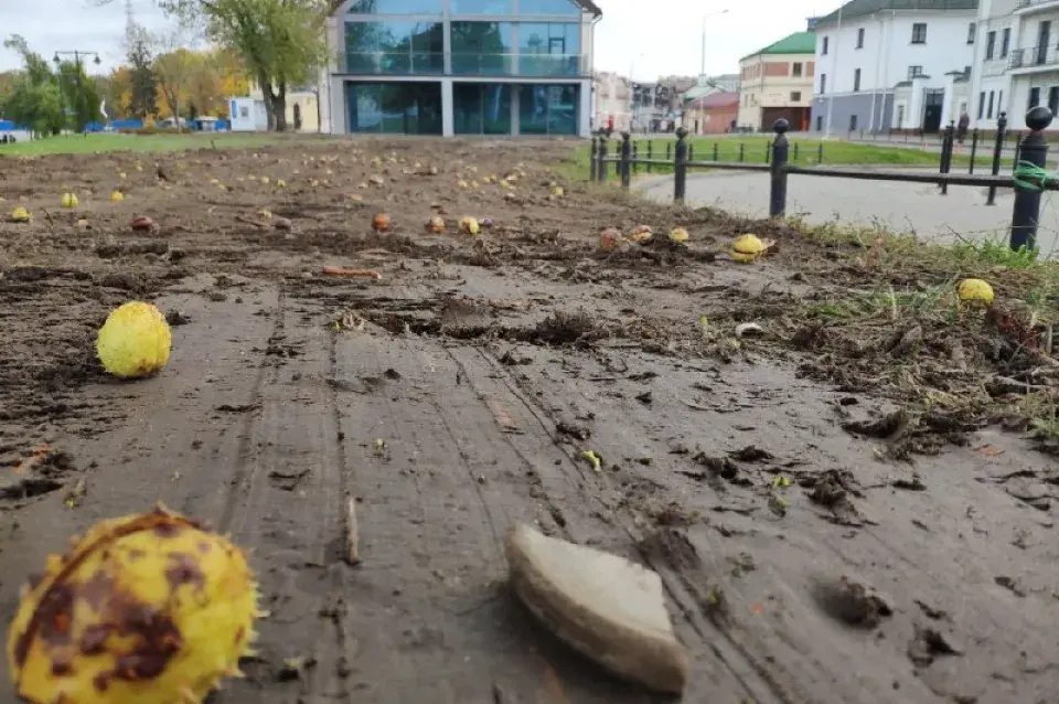 Ля Зыбіцкай камунальнікі груба перакапалі гістарычную набярэжную