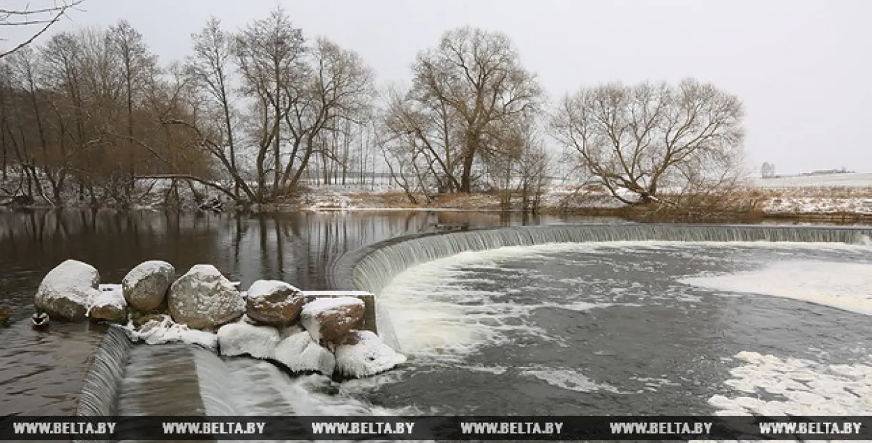 Фото: БЕЛТА