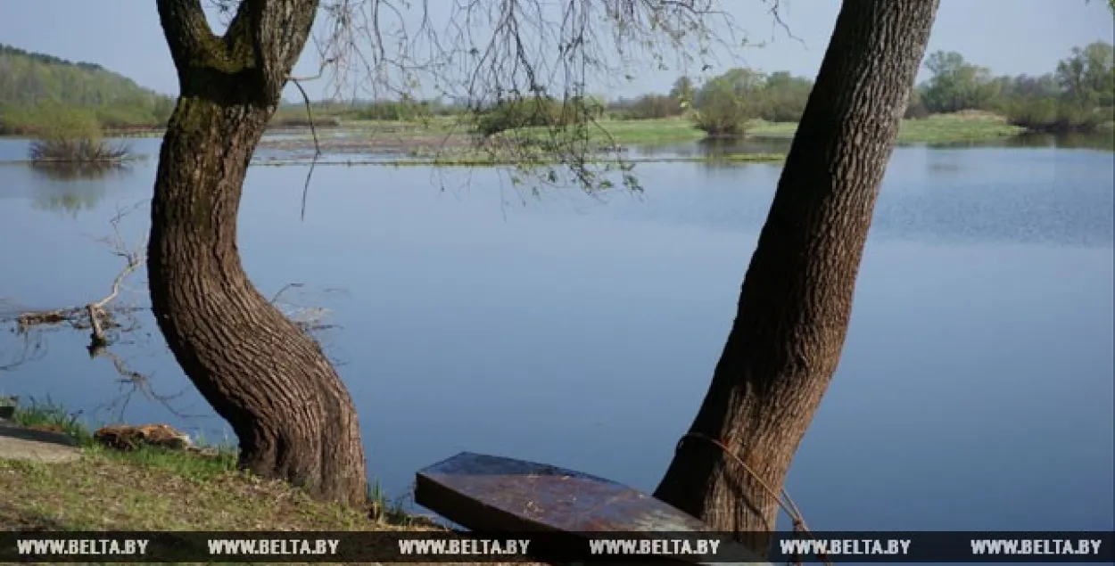 У Полацкім раёне знайшлі цела 10-гадовага хлопчыка, якога шукалі з пятніцы