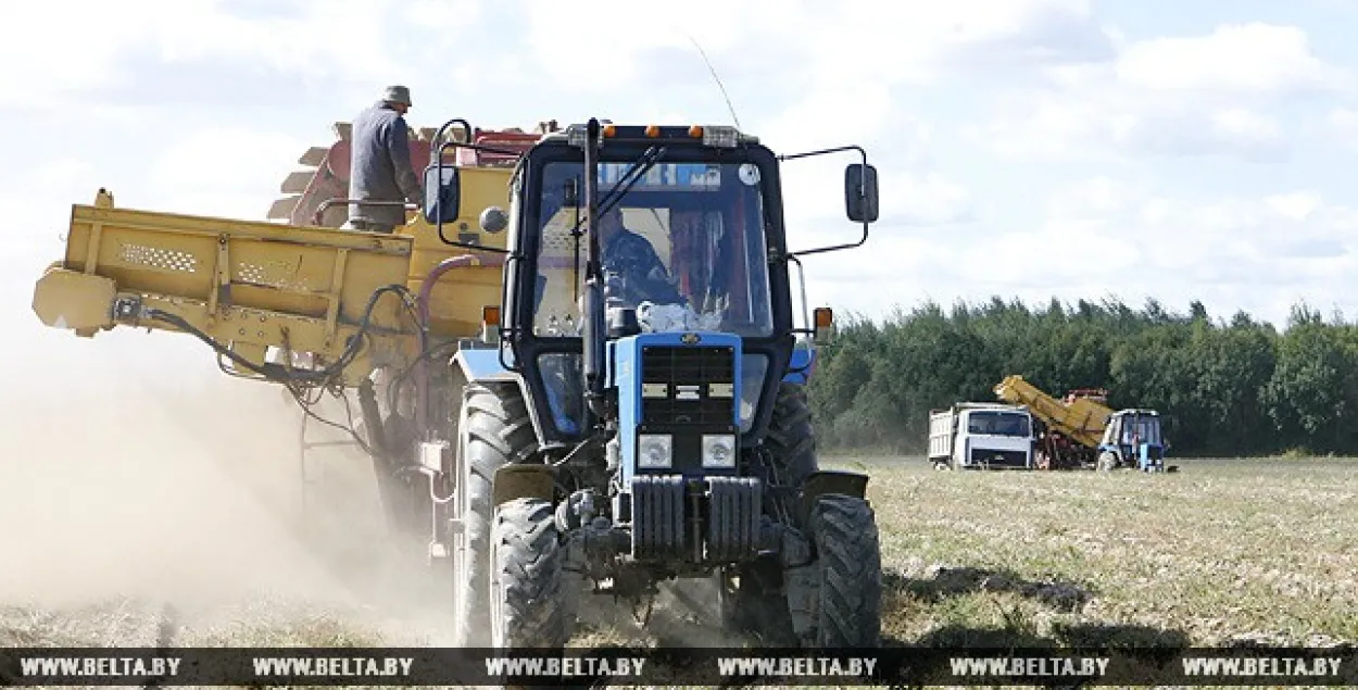 У Магілёве жанчынам-кіраўнікам сельскіх гаспадарак падарылі трактары