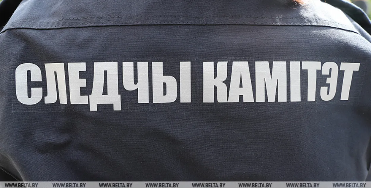 Жанчына атрымала год калоніі за скокі на машыне з членамі выбарчай камісіі