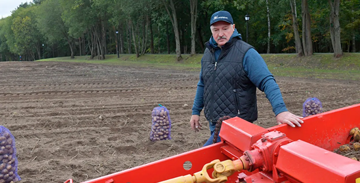 Alyaksandr Lukashenka / president.gov.by