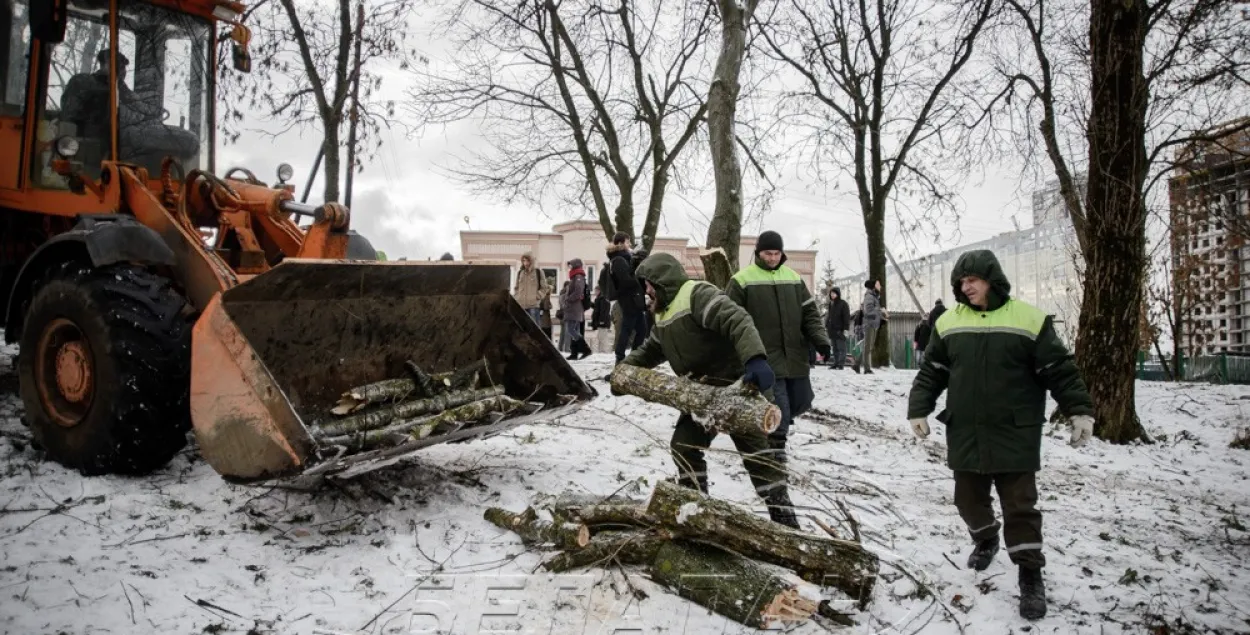 У мінскім скверы Катоўка людзі пратэстуюць супраць высечкі дрэваў