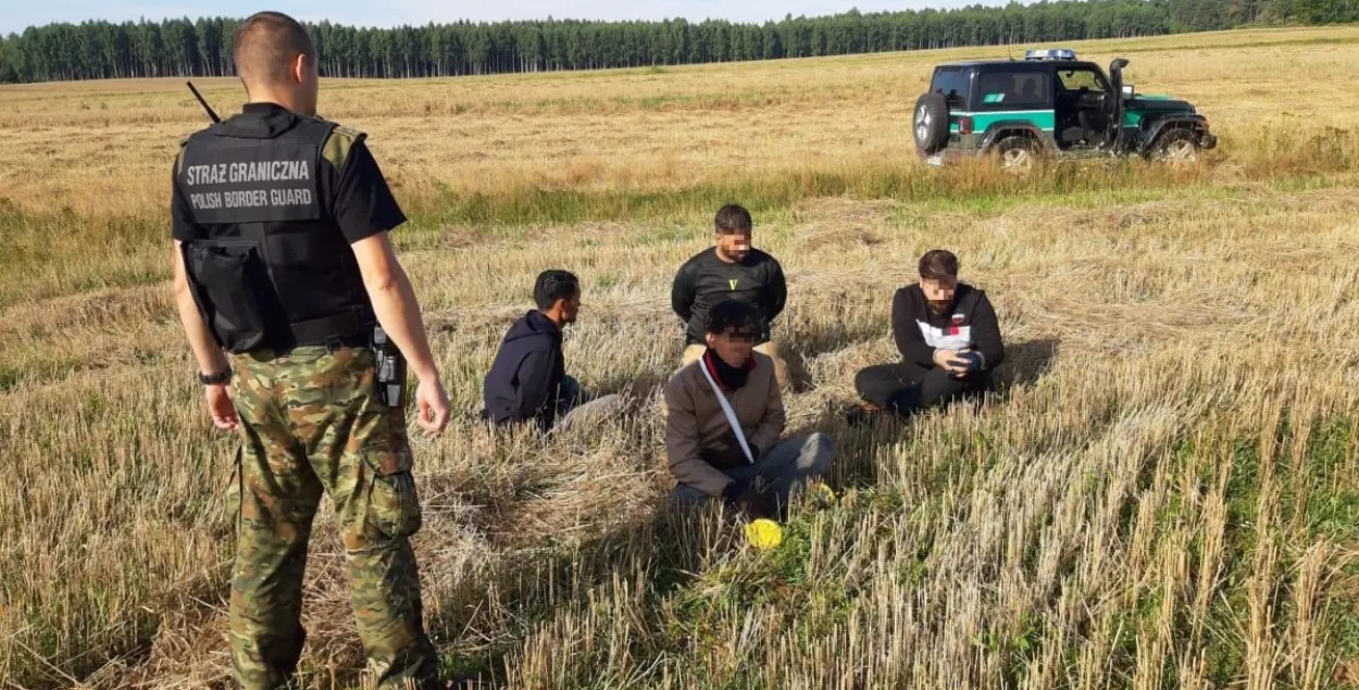 Задержание мигрантов возле польско-белорусской границы в августе / Из архива strazgraniczna.pl​