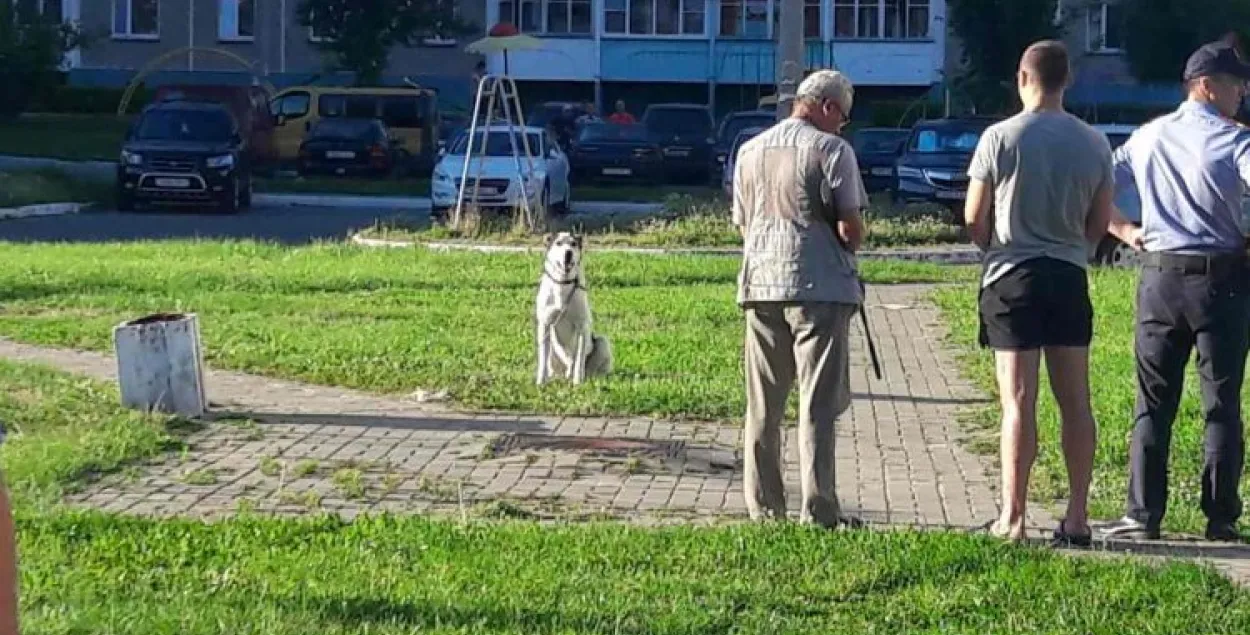 У Салігорску сабаку забілі на вачах у дзясяткаў людзей