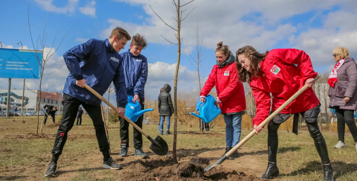 Пасадка дрэў у Ленінскім раёне Мінска / Ілюстратыўнае фота &quot;Мінск-Навіны&quot;