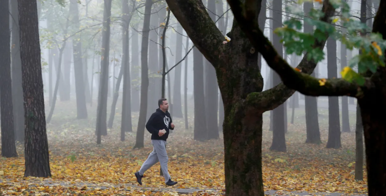 Фото: Reuters