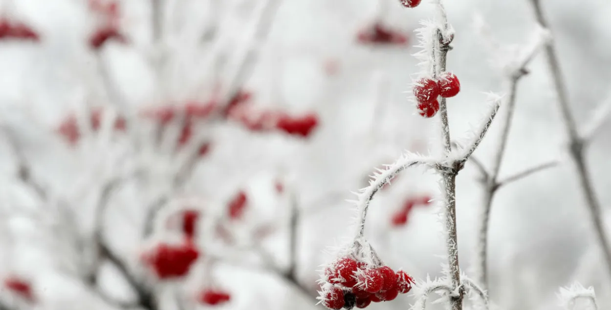 Фото: Reuters