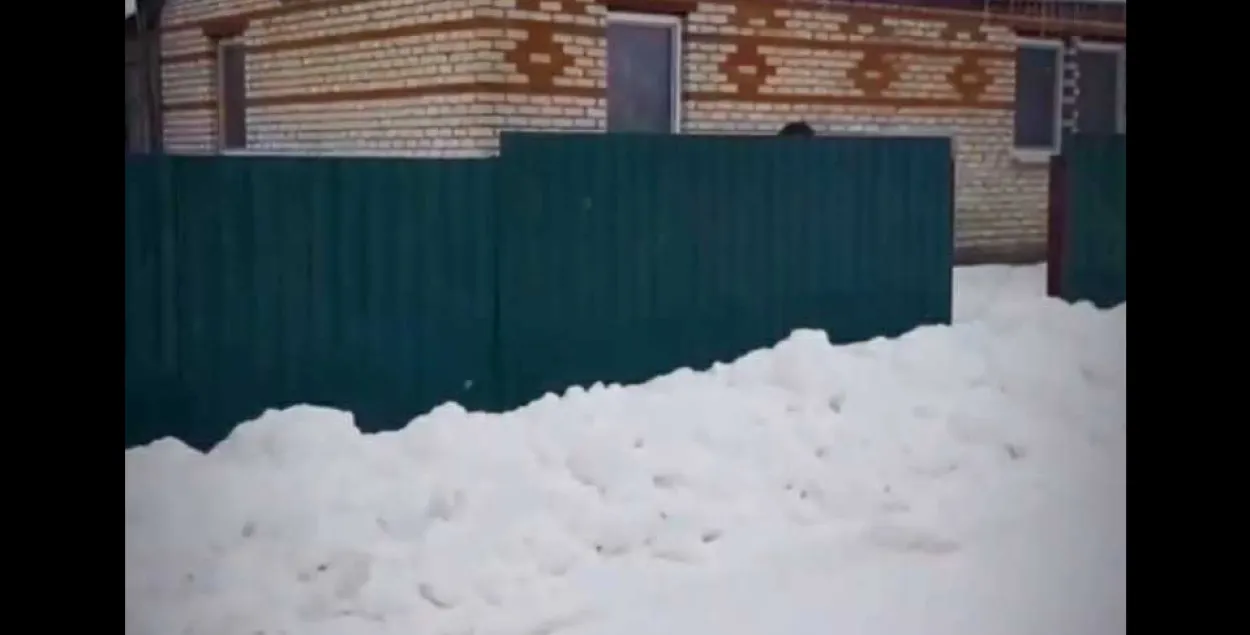 "Такое бывае раз на 20-40 гадоў": чаму забілі пенсіянерак пад Віцебскам