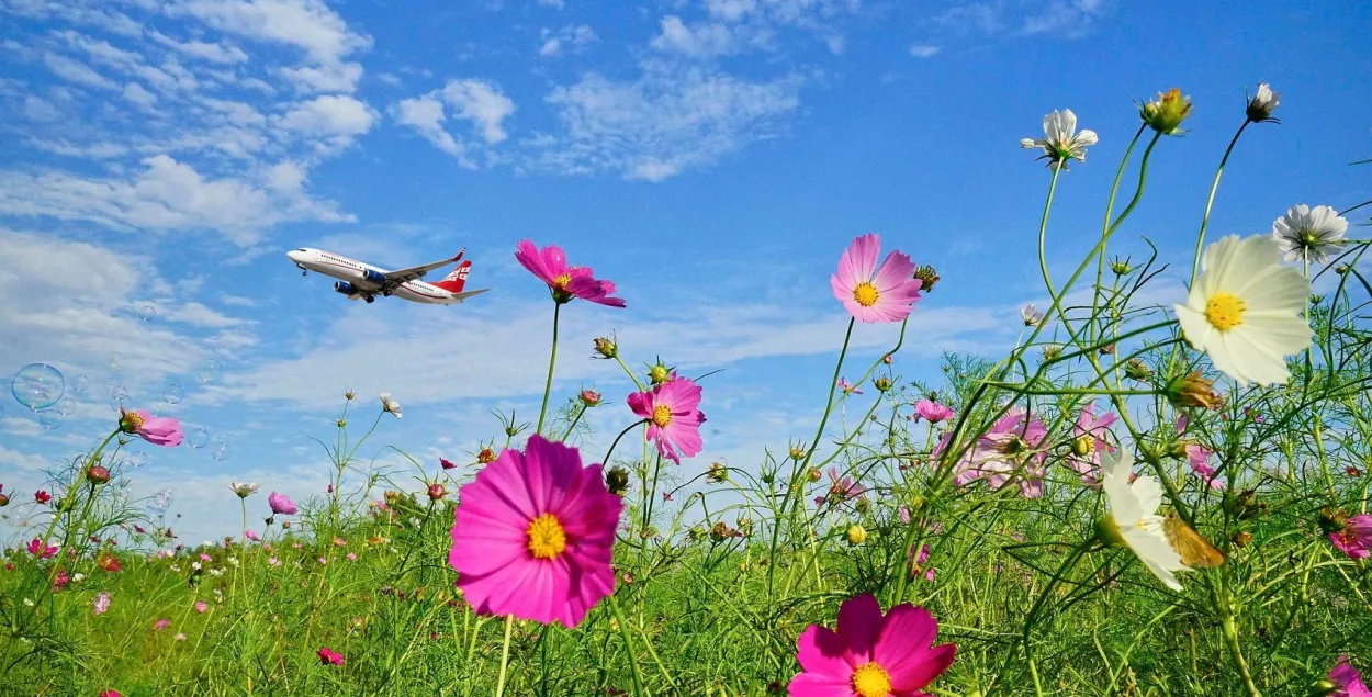 Georgian Airways аднаўляюць палёты па маршруце Тбілісі — Мінск — Тбілісі