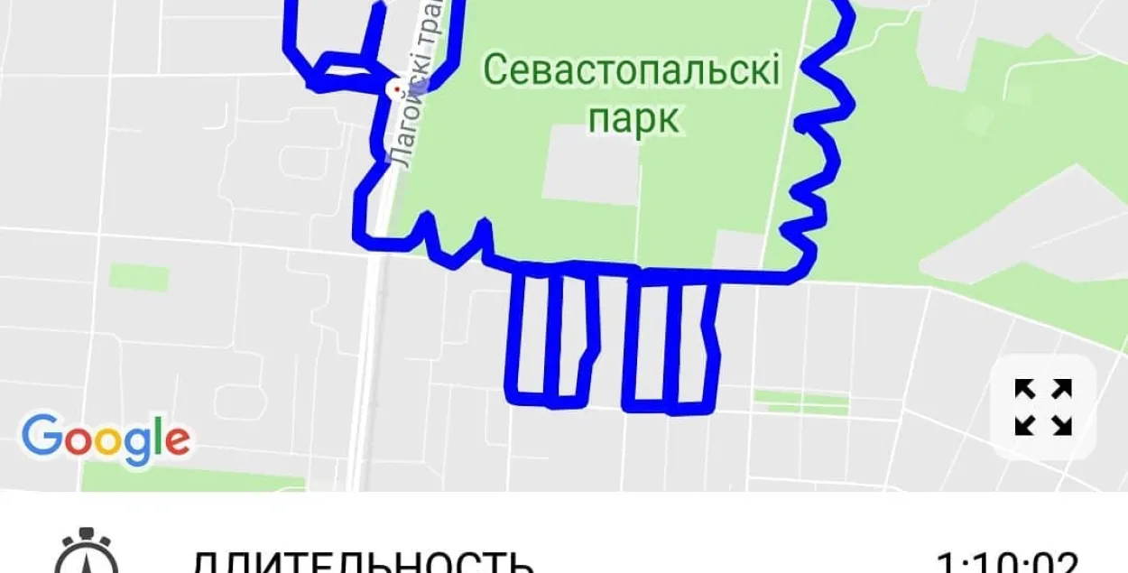 Мінчанін малюе бегавым GPS-трэкерам жывёл на карце