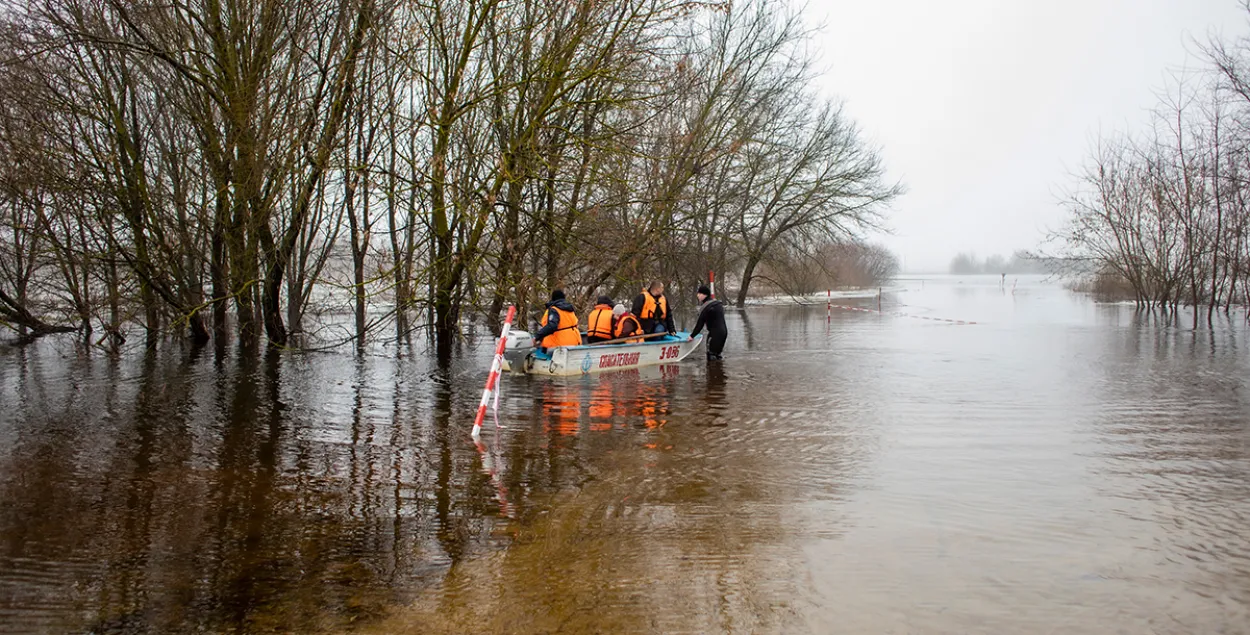 Наиболее высок уровень воды в Мозырском районе / sb.by
