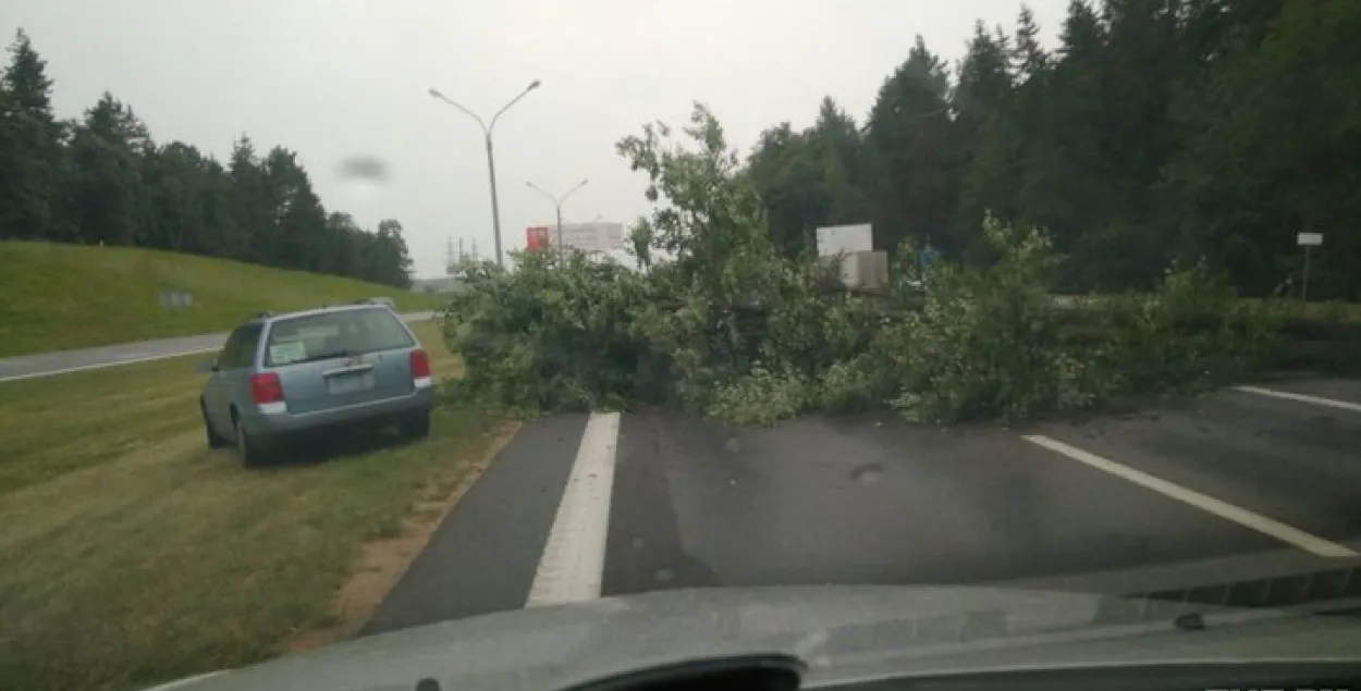 На трасу паміж Мінскам і Нацыянальным аэрапортам упала дрэва, заблакаваны рух