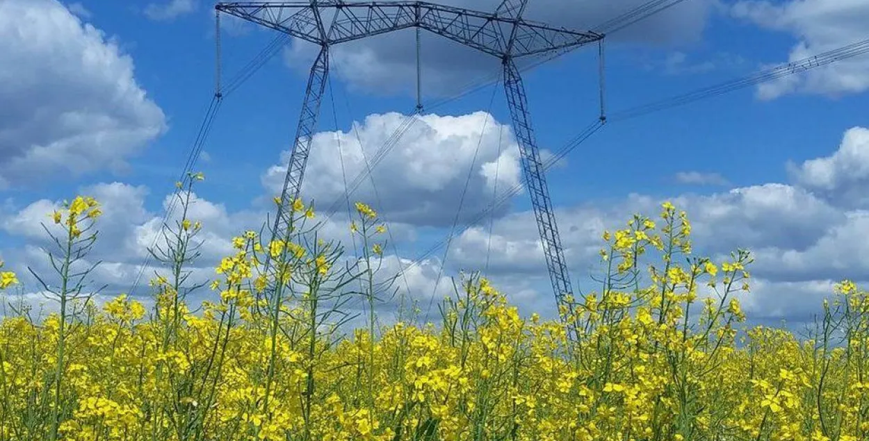 14-гадовая мінчанка выйграла конкурс BBC на лепшае фота лета