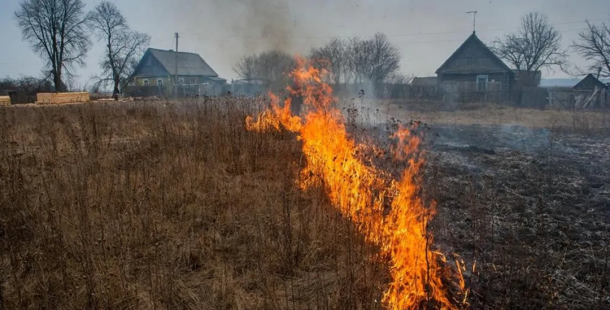 Высокая пагроза пажараў​ /&nbsp;lepelles.by