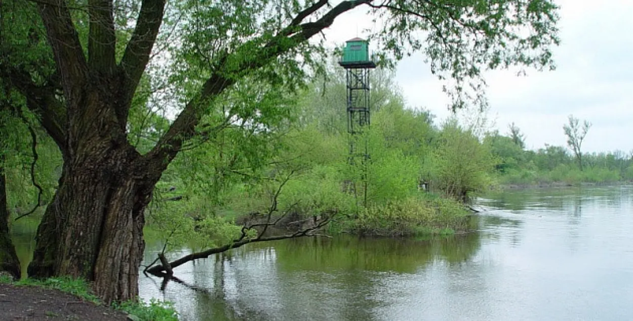 Памежнікі затрымлівалі польку, якая ратавала сабаку і апынулася ў Беларусі