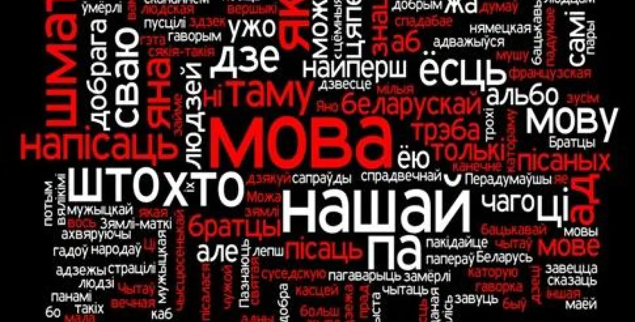 Браслаўскія ўлады праводзяць апытанне наконт мовы шыльдаў у горадзе і раёне