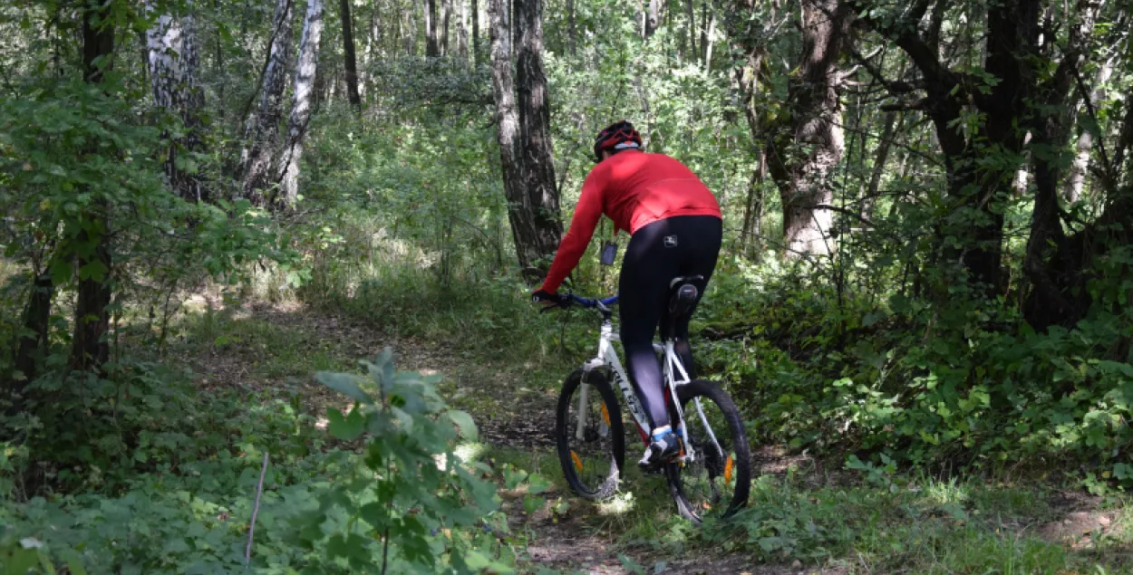 Cycling route in the Chernobyl zone / press service of the Cabinet of Ministers of Ukraine