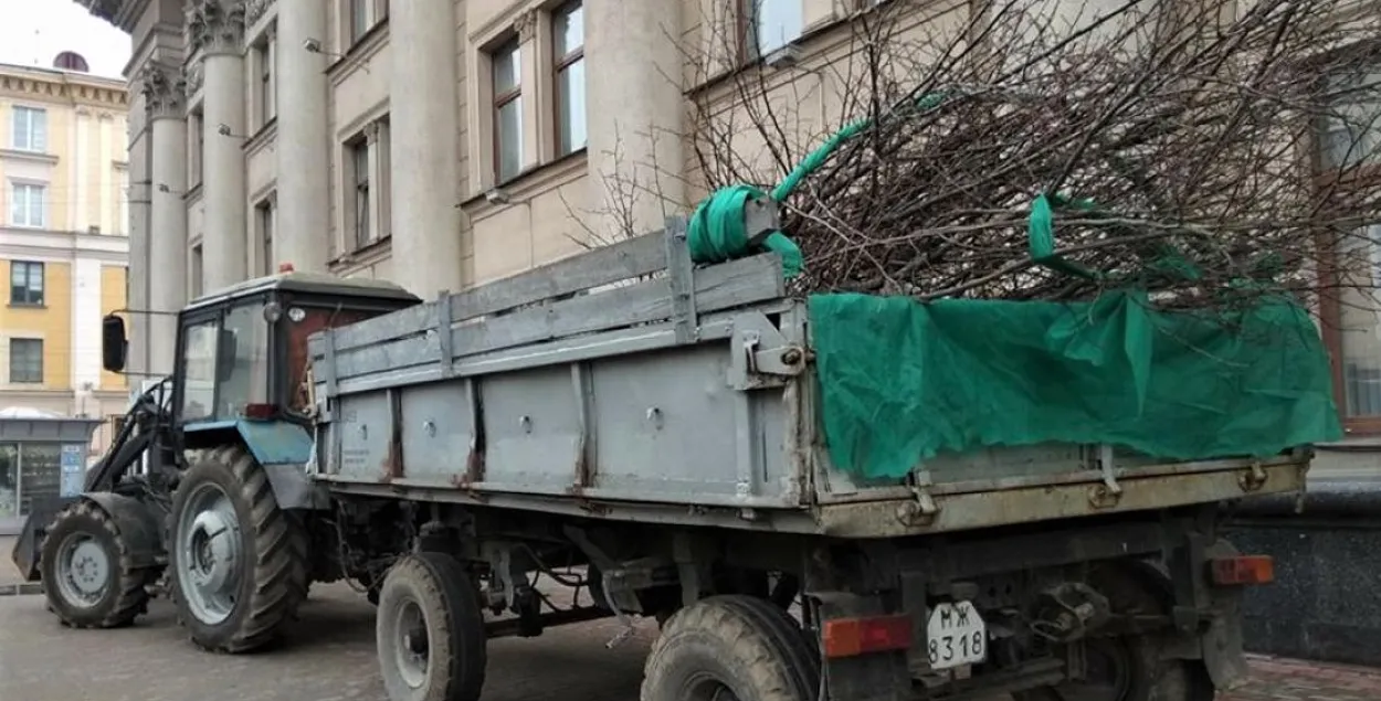 ПАДКАСТ ДНЯ: Суботнік будзе, а паслання Лукашэнкі — не?