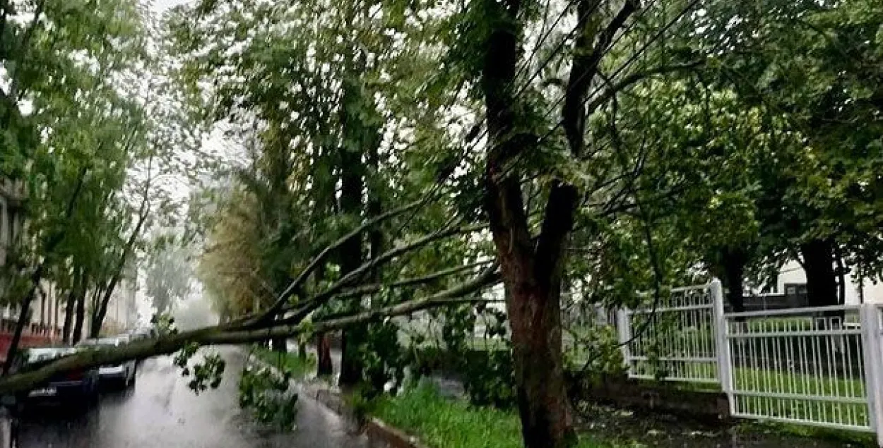 Непагадзь у Мінску паваліла ўвечары ў панядзелак тры дрэвы