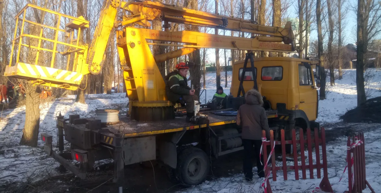 Улады абяцаюць замест высечаных у Катоўцы дрэваў пасадзіць новыя