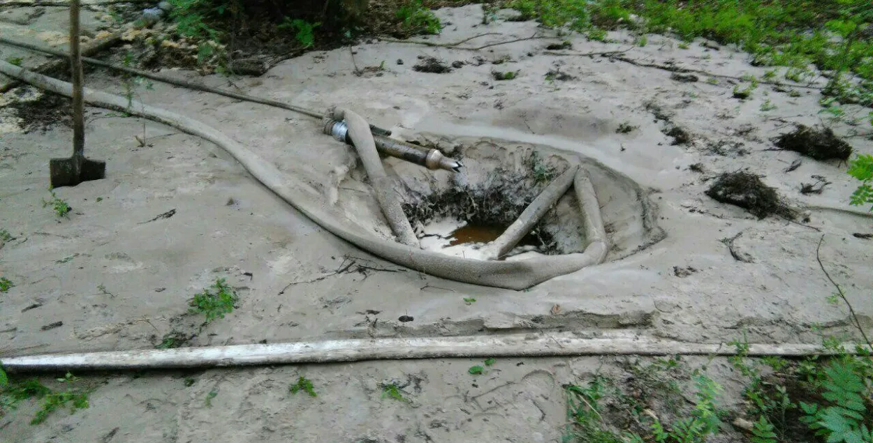 Беларускія памежнікі спынілі незаконную здабычу бурштыну (фота)