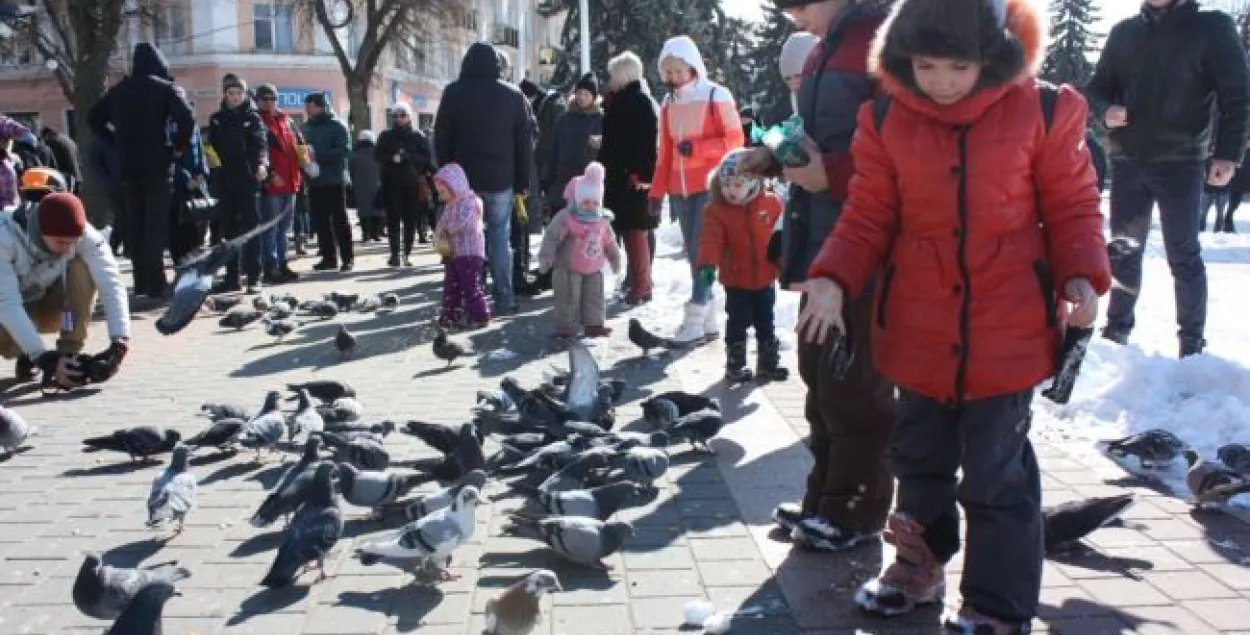 Блогера аштрафавалі за тое, што здымаў, як людзі кармілі галубоў