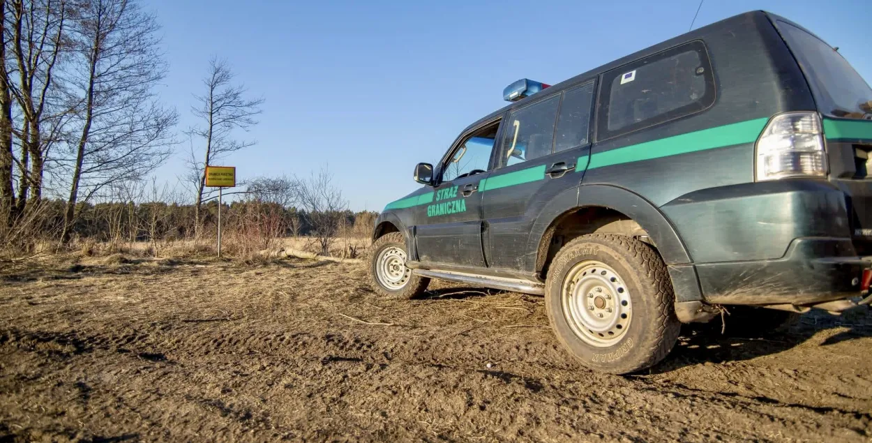 Польские пограничники задержали 31 мигранта на белорусско-польской границе