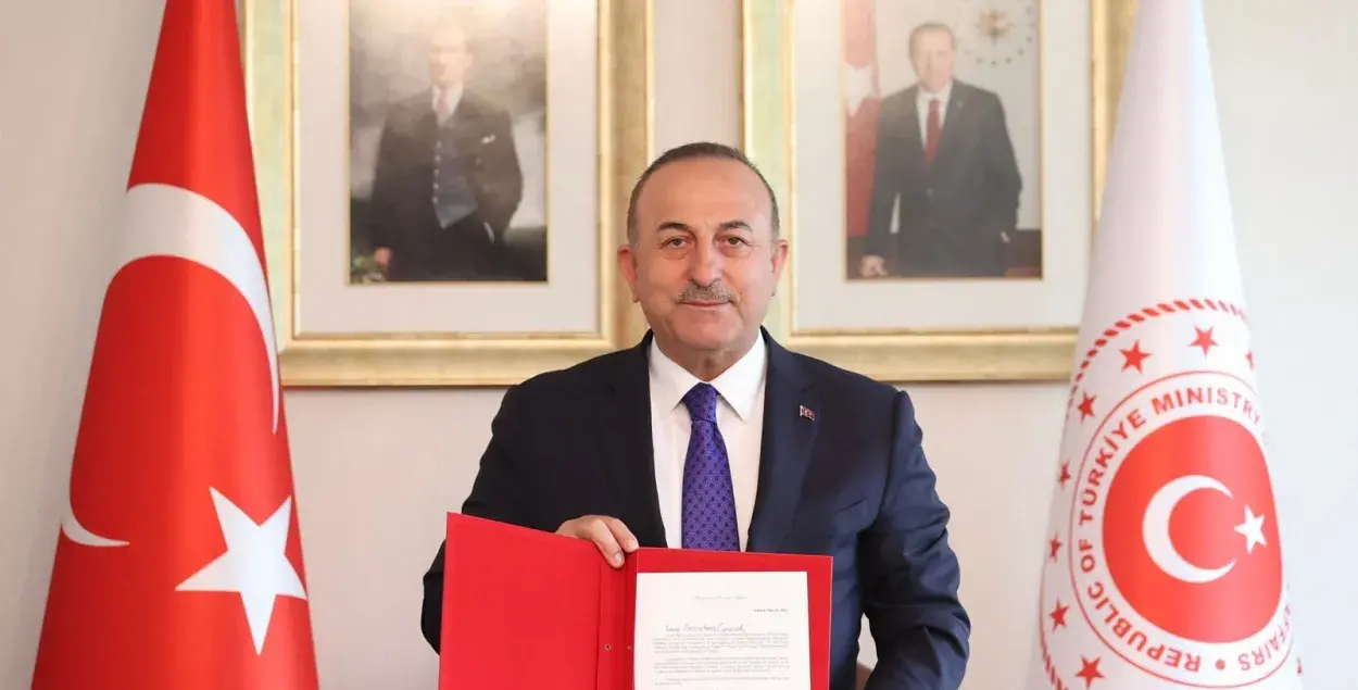 Документ в ООН / twitter.com/MevlutCavusoglu