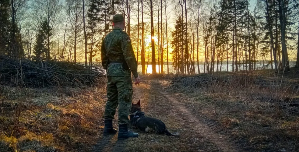 Незаконно пройти в Польшу из Беларуси пытались более 5,7 тысяч раз в 2022 году