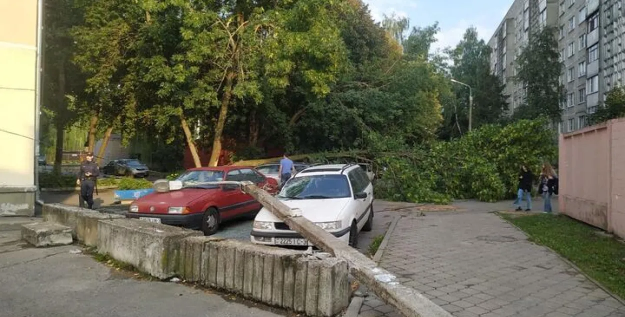 У цэнтры Гомеля на аўтамабілі паваліліся дрэва і ліхтарны слуп